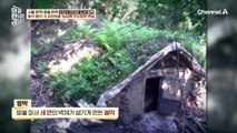 [#클립배송] 도둑질을 해야 먹고 살 수 있다?! 北 최하위층 농장원의 충격적인 현실 #북한 #김정은