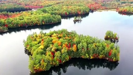 "Nostalgic Goose" Background Music (no copyright)