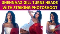 Shehnaaz Gill turns heads with striking photoshoot in chic white dress