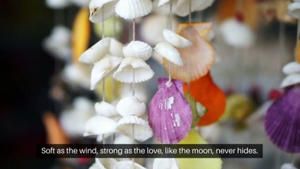 Tides of a Silent Heart.