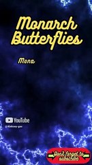 Animal Facts      Monarch Butterflies       #shorts