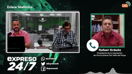 ¿Cuántas hectáreas dejarán de sembrarse en el Valle del Mayo?