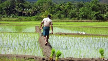 India: Mitigating climate change with local weather data