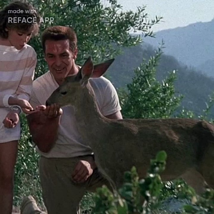 2020 Schwarzenegger