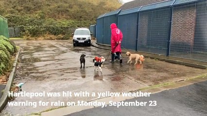 People brave the rain as Hartlepool hit with yellow weather warning