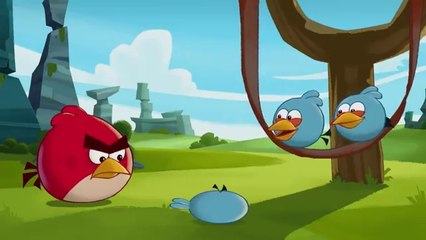Angry Birds Toons | Slingshot 101 - S1 Ep11