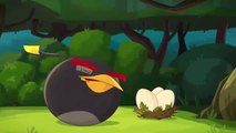 Angry Birds Toons | Bombina - S2 Ep24