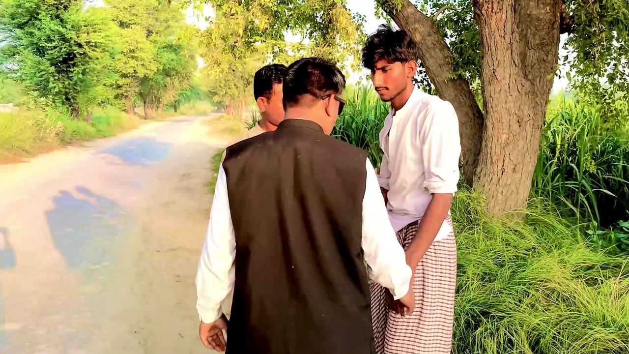 تل کی فصل میں جٹ پریشان