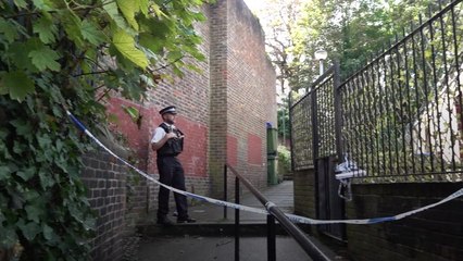 Woolwich stab victim pleaded 'I'm 15, don't let me die' as police issue 'zombie knives' warning