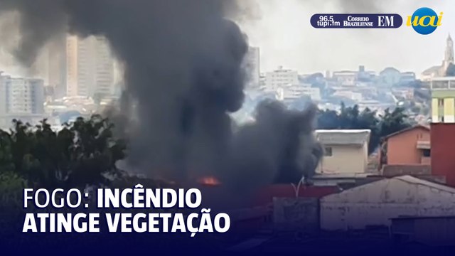 Incêndio em vegetação gera coluna de fumaça no Bairro Calafate, em BH