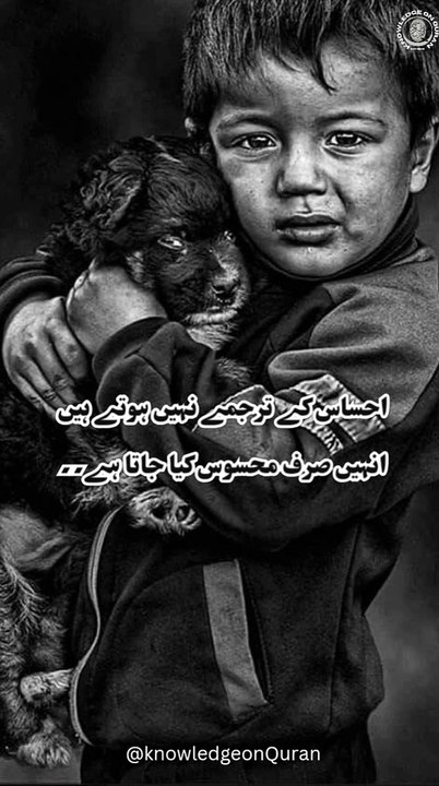 Motivation quotes