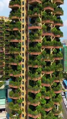 Flats filled with greenery