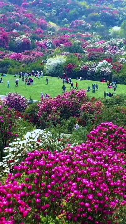 nature photography