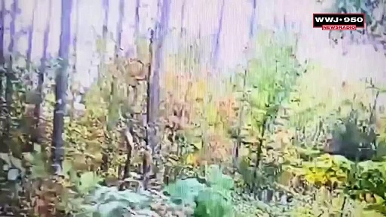 Police dog helps find missing Northern Michigan teen in the woods