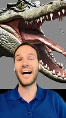 Les LARMES de CROCODILE