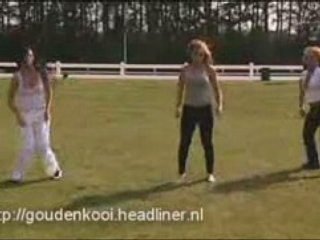 Stoeipoezen dansles in de tuin