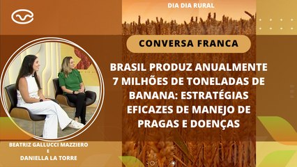 Brasil produz anualmente 7 milhões de toneladas de banana: estratégias eficazes de manejo de pragas e doenças