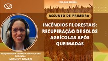 Incêndios florestais: recuperação de solos agrícolas após queimadas