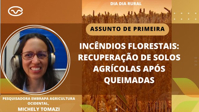 Incêndios florestais: recuperação de solos agrícolas após queimadas