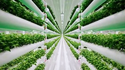 Ось чому ми ніколи не станемо цивілізацією типу 2