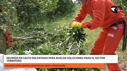 Reunión en Salto Encantado para buscar soluciones para el sector tabacalero