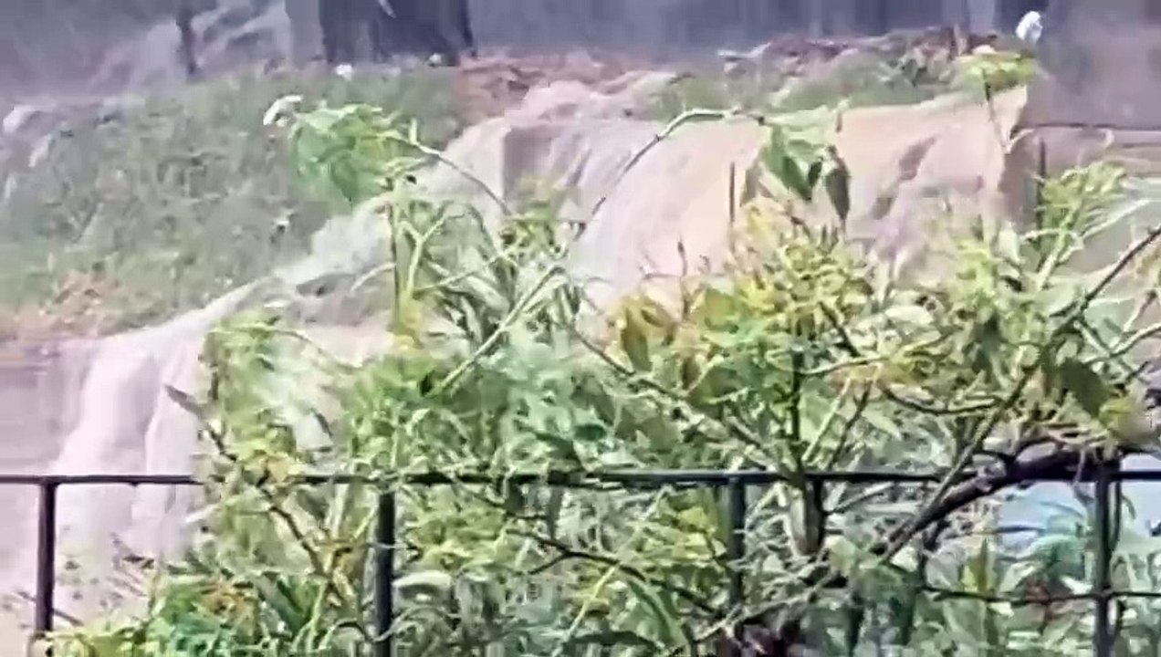 Pioggia torrenziale in provincia di Livorno: strade interrotte, allagamenti e persone salvate