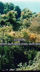 Movies superhit watching