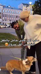 حمل سارة الوداعاني