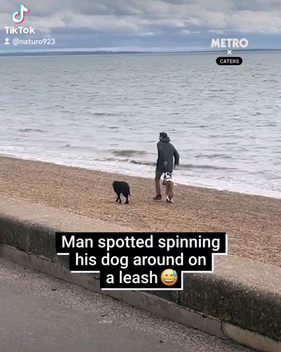 #dog #dogs #gym #workout #how #cute #fitness #sn2sg #sunnightmusic #sunnight #doglove #pets #petlover #havefun #beach #beachvibes #thedaysstillyoung #sunnightpop #sunnightjazz #sunnightblues #enjoy #enjoylife #spinning #fly #strength #power #super #cool #