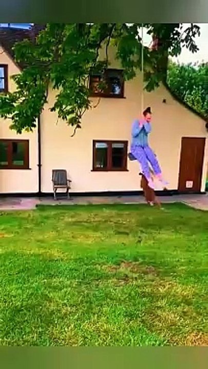 Funniest CATS and DOGS 2024 - Funny ANIMALS videos