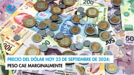 Precio del dólar hoy 23 de septiembre de 2024: Peso cae marginalmente