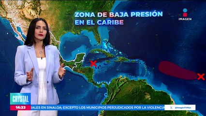 Encuentran dos cocodrilos bebés en el Metro de la CDMX