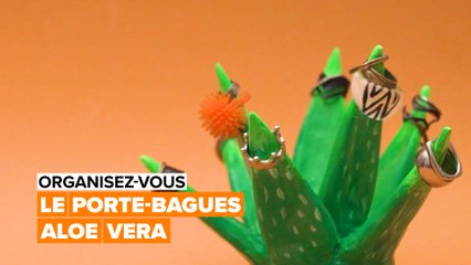 Organisez-vous : le porte-bagues aloe vera
