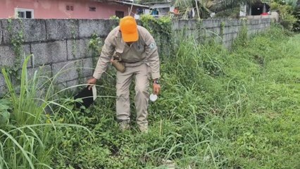 Dengue ha cobrado la vida de 12 personas en Colón