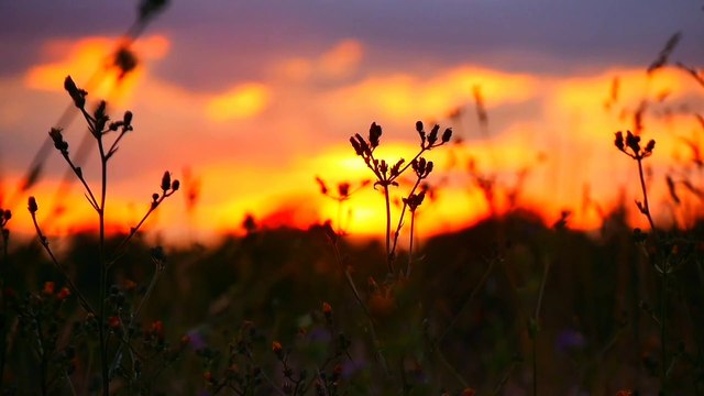 Âm nhạc thư giãn trị liệu với cảnh đẹp nhân gian - Nhẹ nhàng sâu lắng xua tan mọi ưu phiền