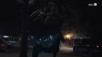 Sujo, la película mexicana que llegará a los los Premios Goya y Oscar 2025