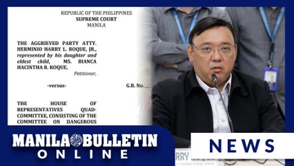 SC asked to stop Harry Roque's arrest