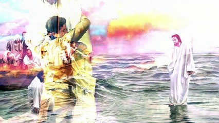 A águia_ um exemplo de que nunca é tarde para começar de novo