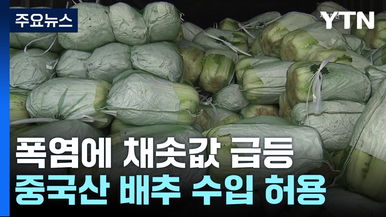 "배춧값 더 오를라"...정부, 중국산 배추 수입 허용 / YTN