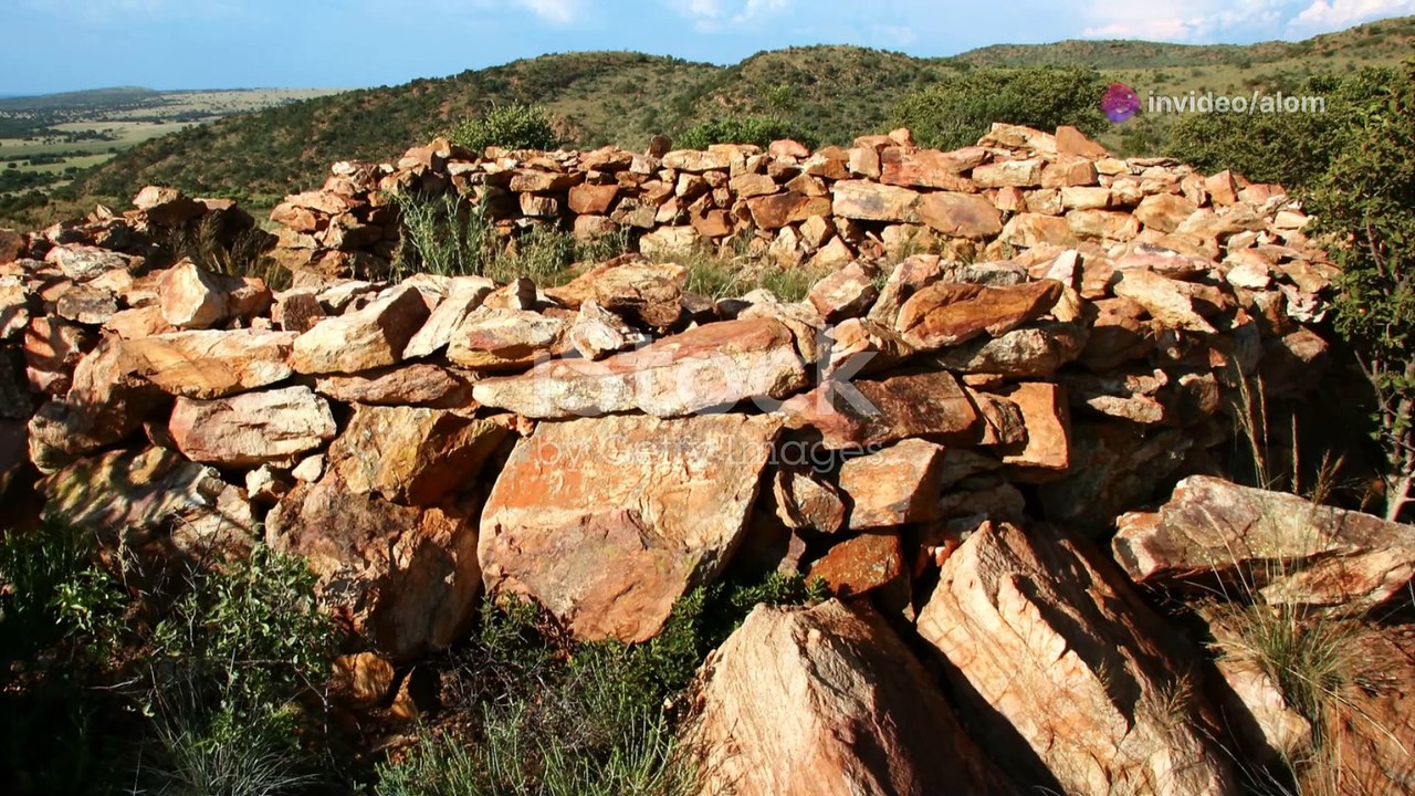 10 Fun Facts About South Africa You Didn't Know!
