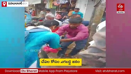 రోడ్డంతా చేపల మయం - అమ్మేది లేదు, కొనేది లేదు - దొరికినోళ్లకు దొరికినన్ని