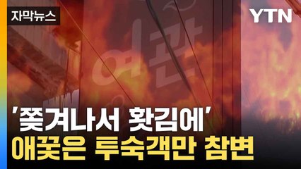 [자막뉴스] 청주 여관 방화...주인이랑 싸우고 괜한 화풀이 / YTN