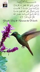 Ghaibi Rizq Ke Khazane Ka Wazifa | Unlock Abundance!