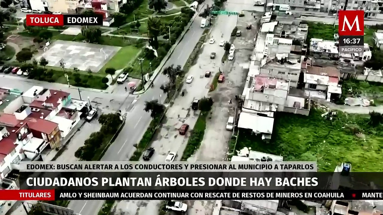 Habitantes de Toluca plantan árboles en baches como forma de protesta