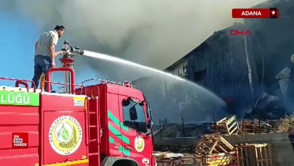 Adana'da narenciye paketleme tesisinde yangın çıktı