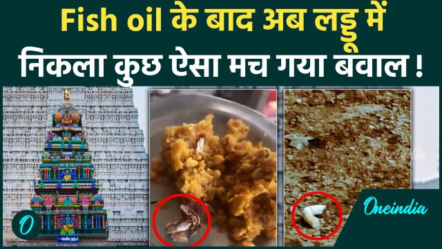 Tirupati Laddu Controversy : आस्था से खिलवाड़, Fish Oil के बाद अब लड्डू में तम्बाकू | वनइंडिया हिंदी