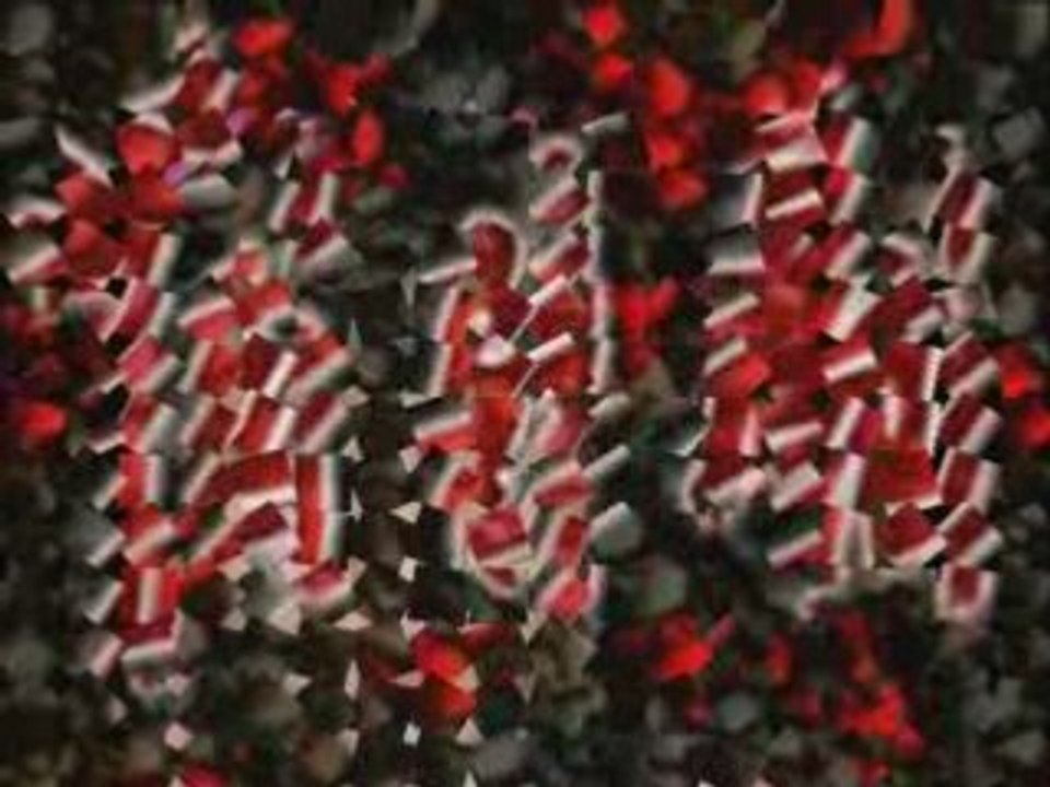 Vidéo mon coeur et moii