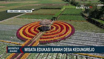Wisata Edukasi Sawah Desa Kedungrejo: Kampanye Gerakan Belanja Sayur di Lahan Petani