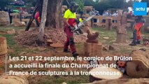 Championnat de France de sculptures à la tronçonneuse