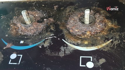 Occitanie : elle découvre l'appartement qu'elle loue saccagé, avec un chat abandonné à l'intérieur